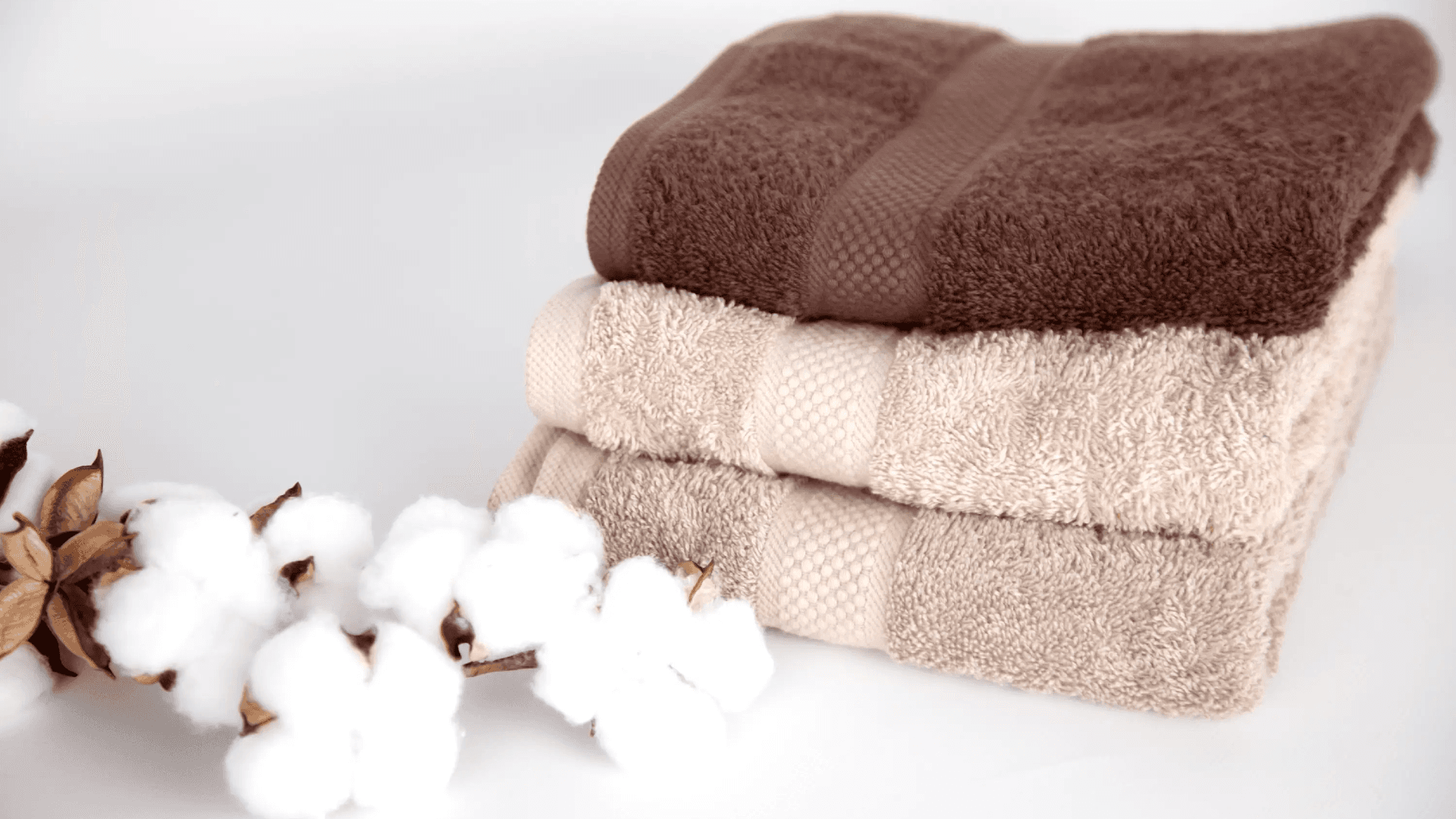 Main Background image