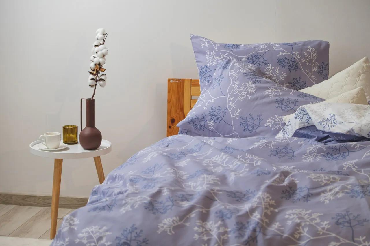 Bed Linen Set TEP "Happy Sleep" WINTER CALM, two-bedroom - Photo 3
