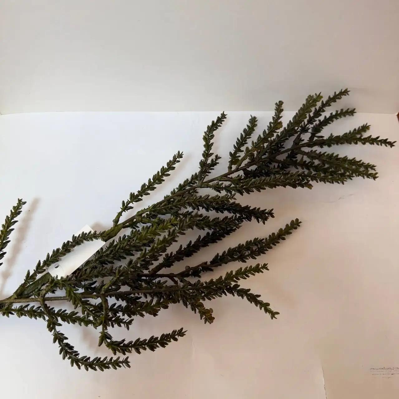 Декоративная ветка «Autumn Calm», 70 см зеленая Декоративная ветка «Autumn Calm», 70 см зеленая