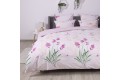 Комплект постельного белья ТЕП "Soft dreams" 338 Aurora, 70x70 евро - Фото 10