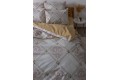 Комплект постельного белья ТЕП "Happy Sleep" Glorius, 50x70 евро - Фото 6